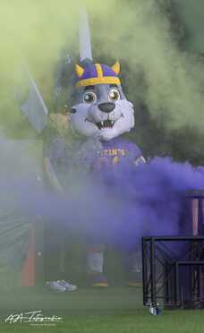Vienna Vikings_Alpine Rams_001