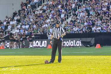 Vienna Vikings_010