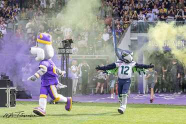 2026-06-06_Vienna Vikings_Rhein Fire_05