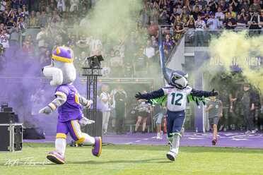 Vienna Vikings_008