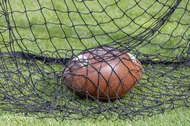 Vienna Vikings_020