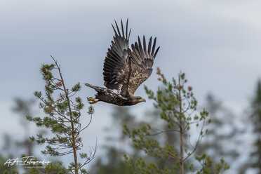 Finnland_016
