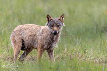 Finnland_019