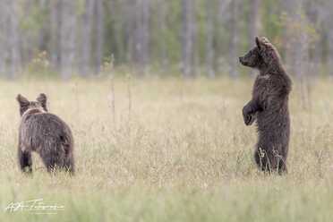 Finnland_023