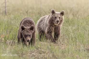 Finnland_024
