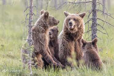 Finnland_026