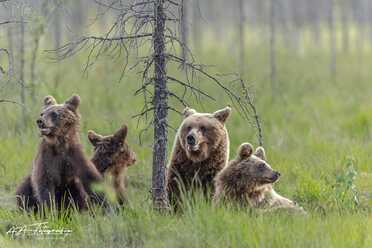 Finnland_027