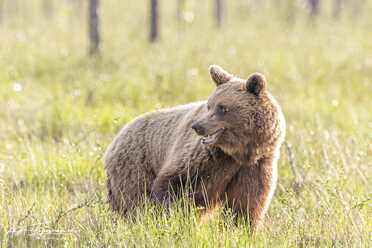 Finnland_029