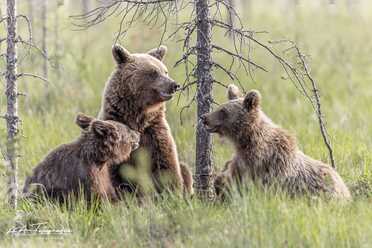 Finnland_030