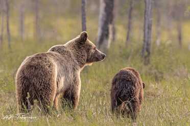 Finnland_031