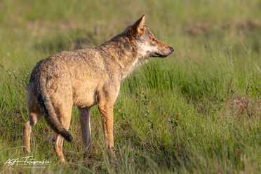 Finnland_033