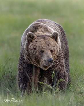Finnland_036