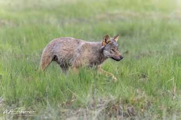 Finnland_037