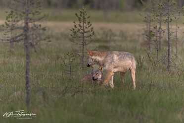 Finnland_039