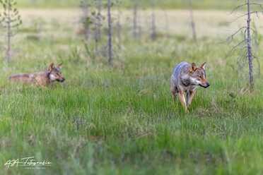 Finnland_040