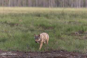 Finnland_041