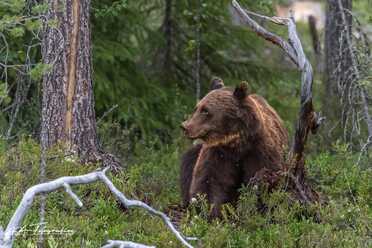 Finnland_045