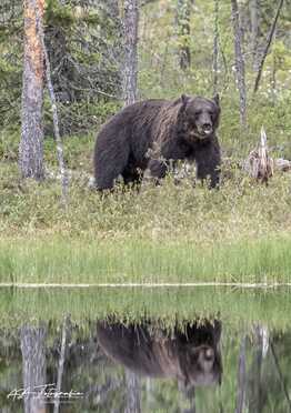 Finnland_046