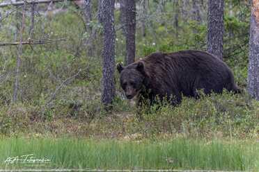 Finnland_051