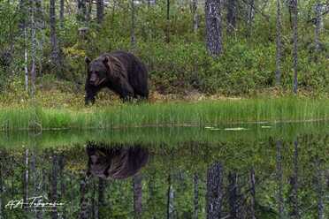 Finnland_052