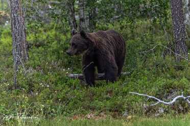 Finnland_053