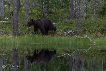 Finnland_054