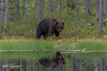 Finnland_055