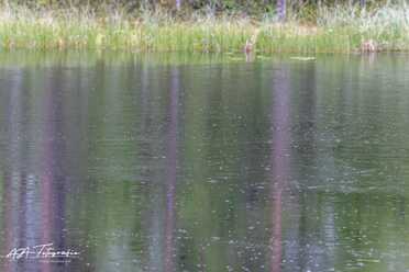 Finnland_058