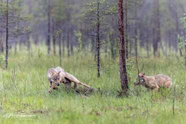 Finnland_061