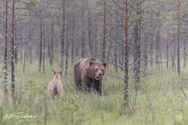 Finnland_062