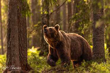 Finnland_063