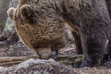 Finnland_065