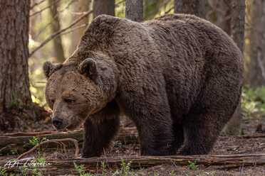Finnland_066