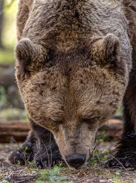 Finnland_067