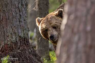 Finnland_068