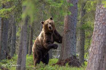 Finnland_069