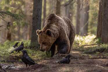 Finnland_072