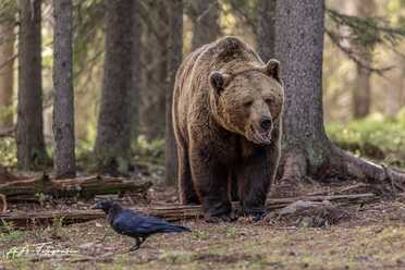 Finnland_073