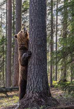 Finnland_074