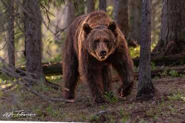 Finnland_076