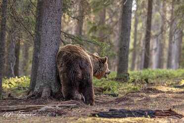 Finnland_083